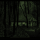 Illustration for article titled Posters Reflect on Five Seasons of Lost